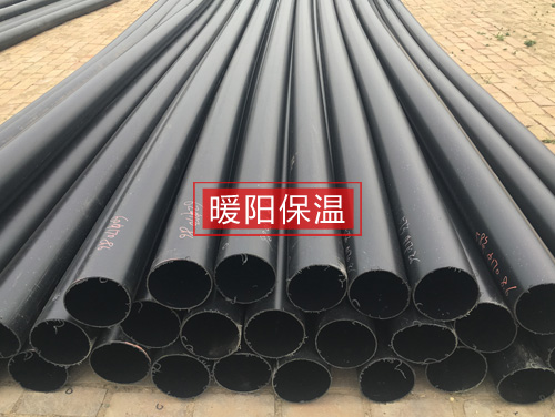 ����ϩ�A�˹�