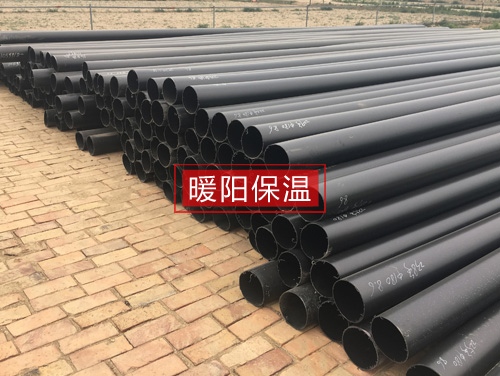 ����ϩ�A�˹�